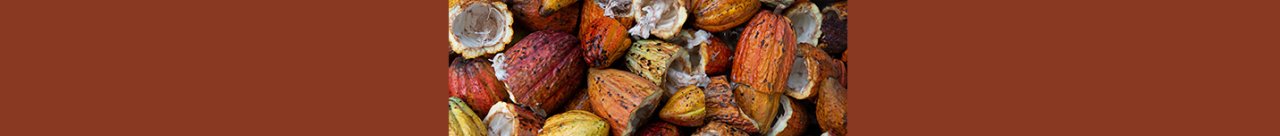 Wat maakt Belgische chocolade zo uniek? Wat maakt Belgische chocolade zo uniek?