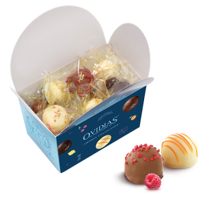 Ballotin met fruitpralinemix (250g)